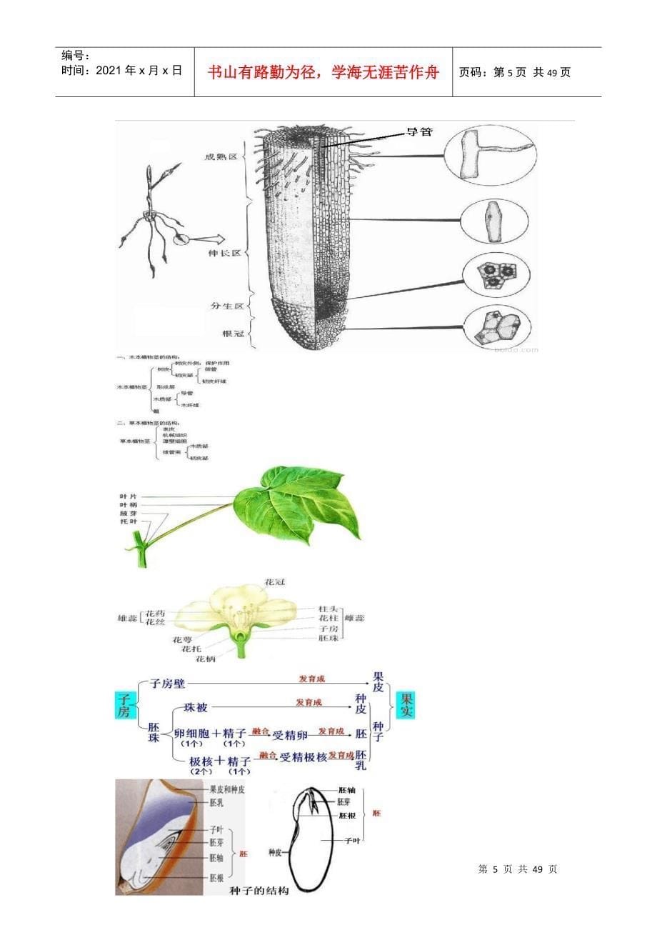 园林绿化专业培训资料_第5页