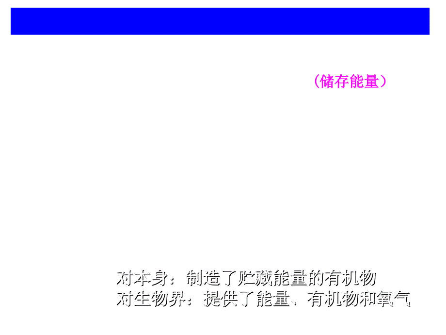 绿色植物的光合作用和呼吸作用复习课课件_第3页