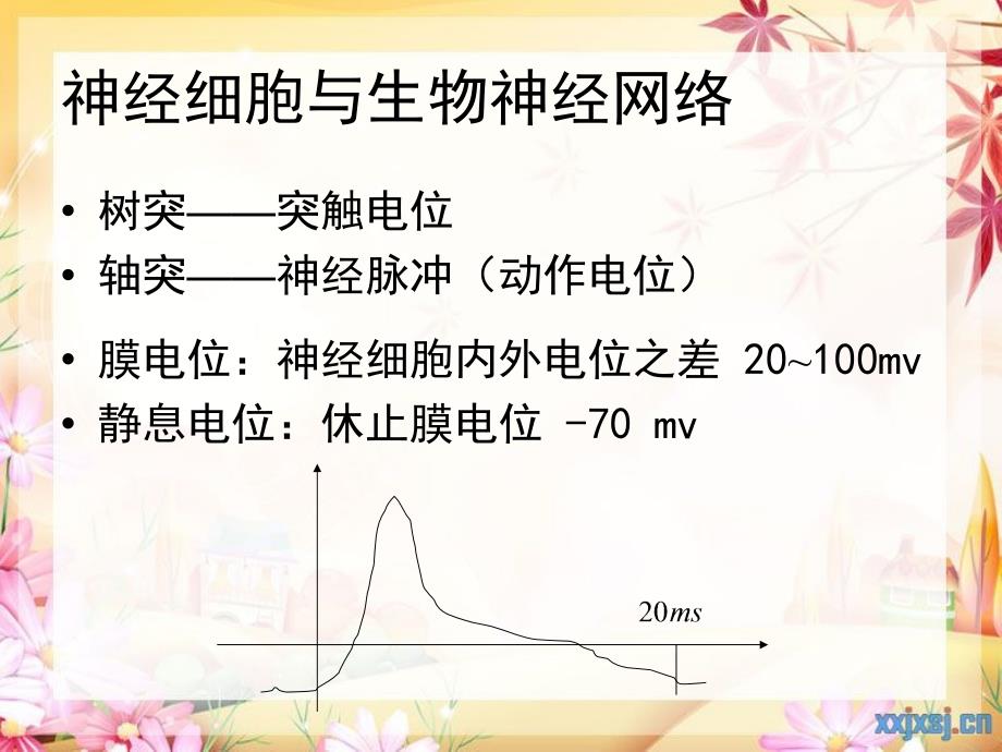 人工神经网络.课件_第4页