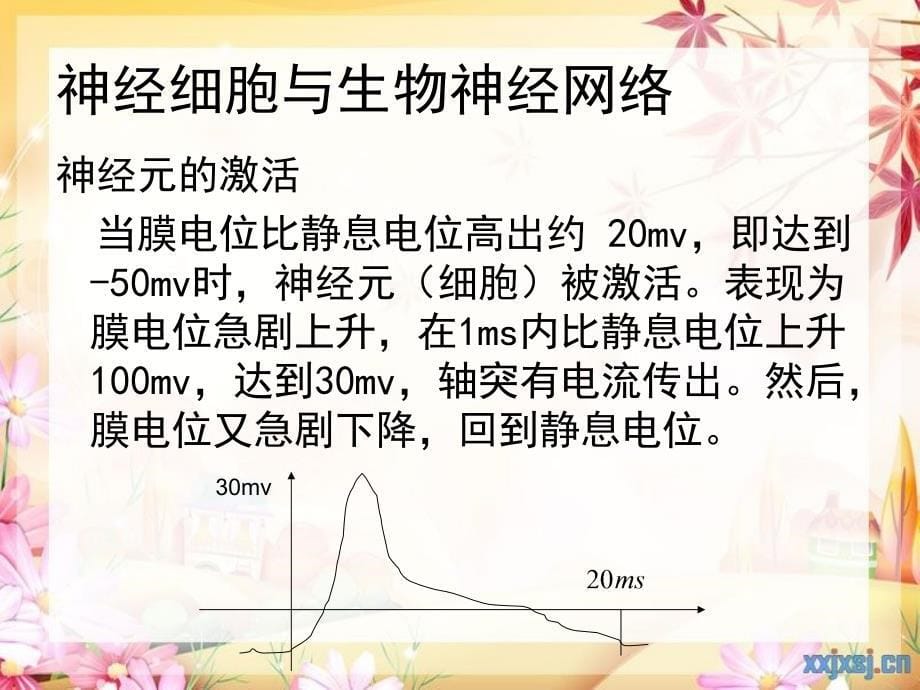 人工神经网络.课件_第5页