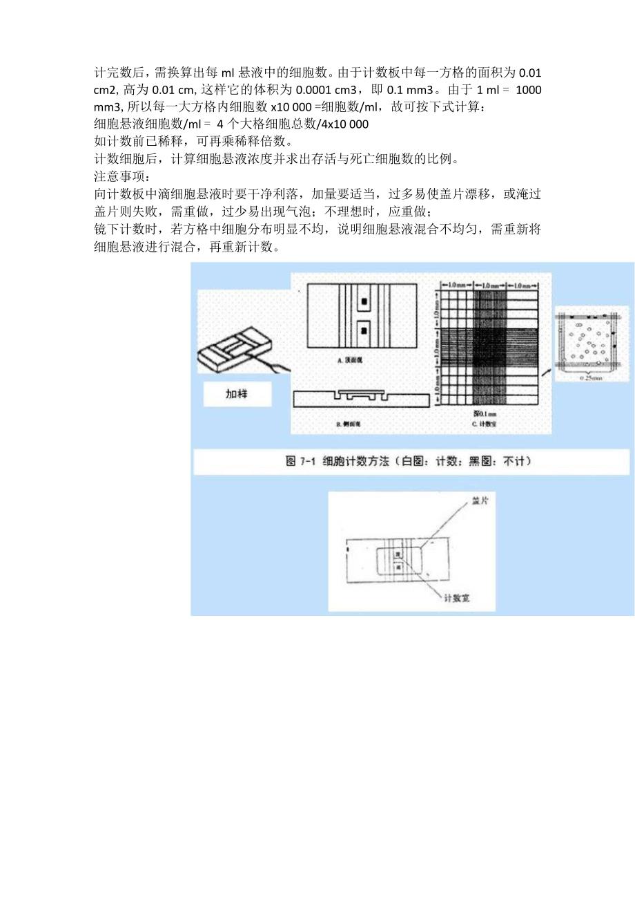 人椎间盘细胞髓核原代培养及细胞计数_第2页