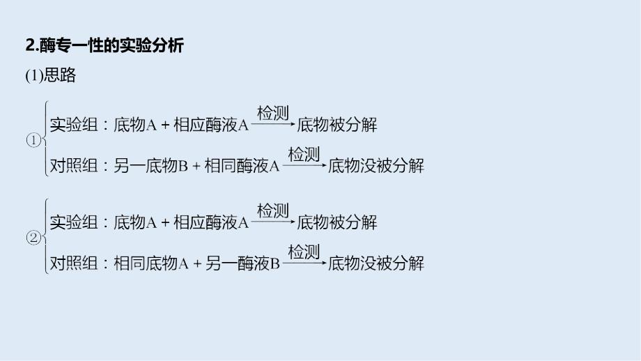 高中生物人教版必修一课件：第5章 细胞的能量供应和利用 微专题二_第3页