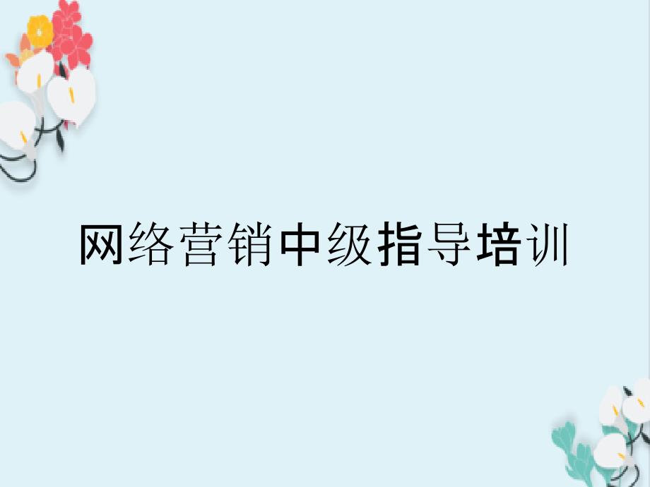 网络营销中级指导培训_第1页