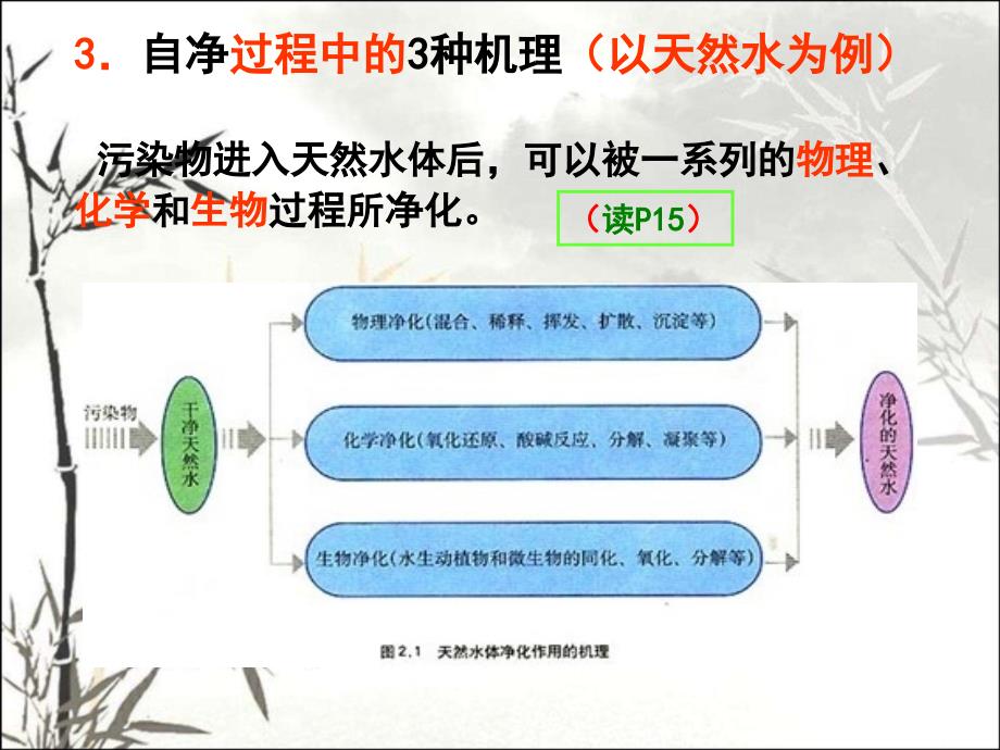 水污染及其成因-课件_第4页