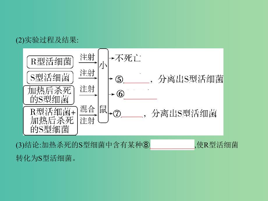 2019届高考生物二轮复习 专题10 遗传的分子基础课件.ppt_第2页