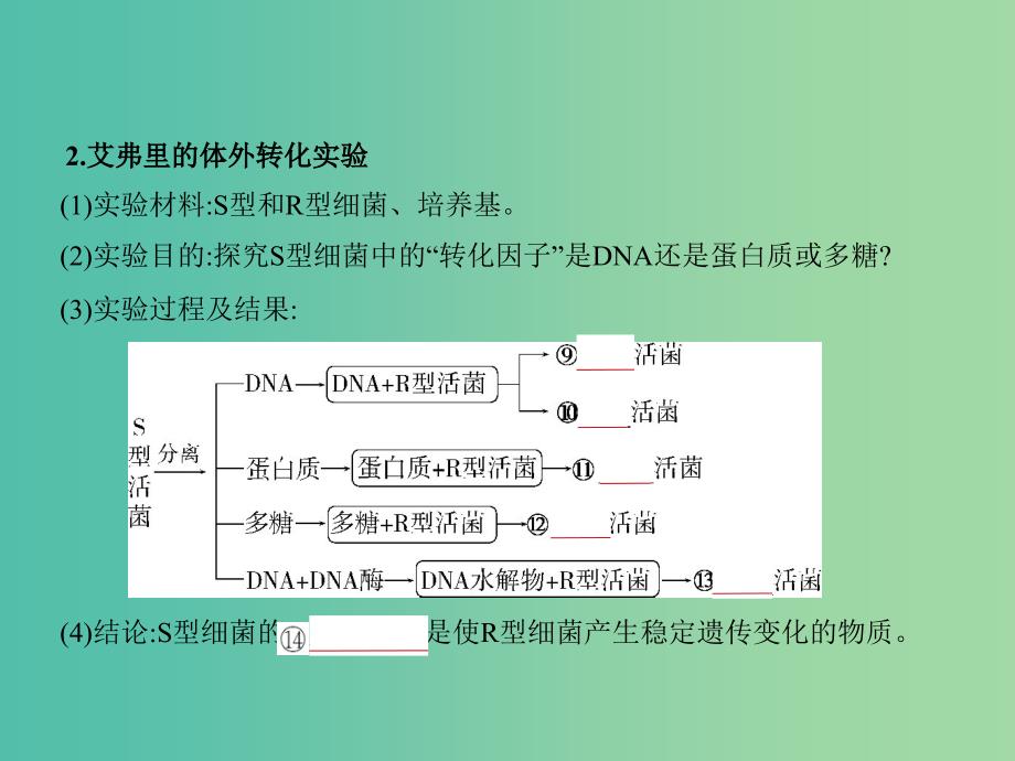 2019届高考生物二轮复习 专题10 遗传的分子基础课件.ppt_第3页