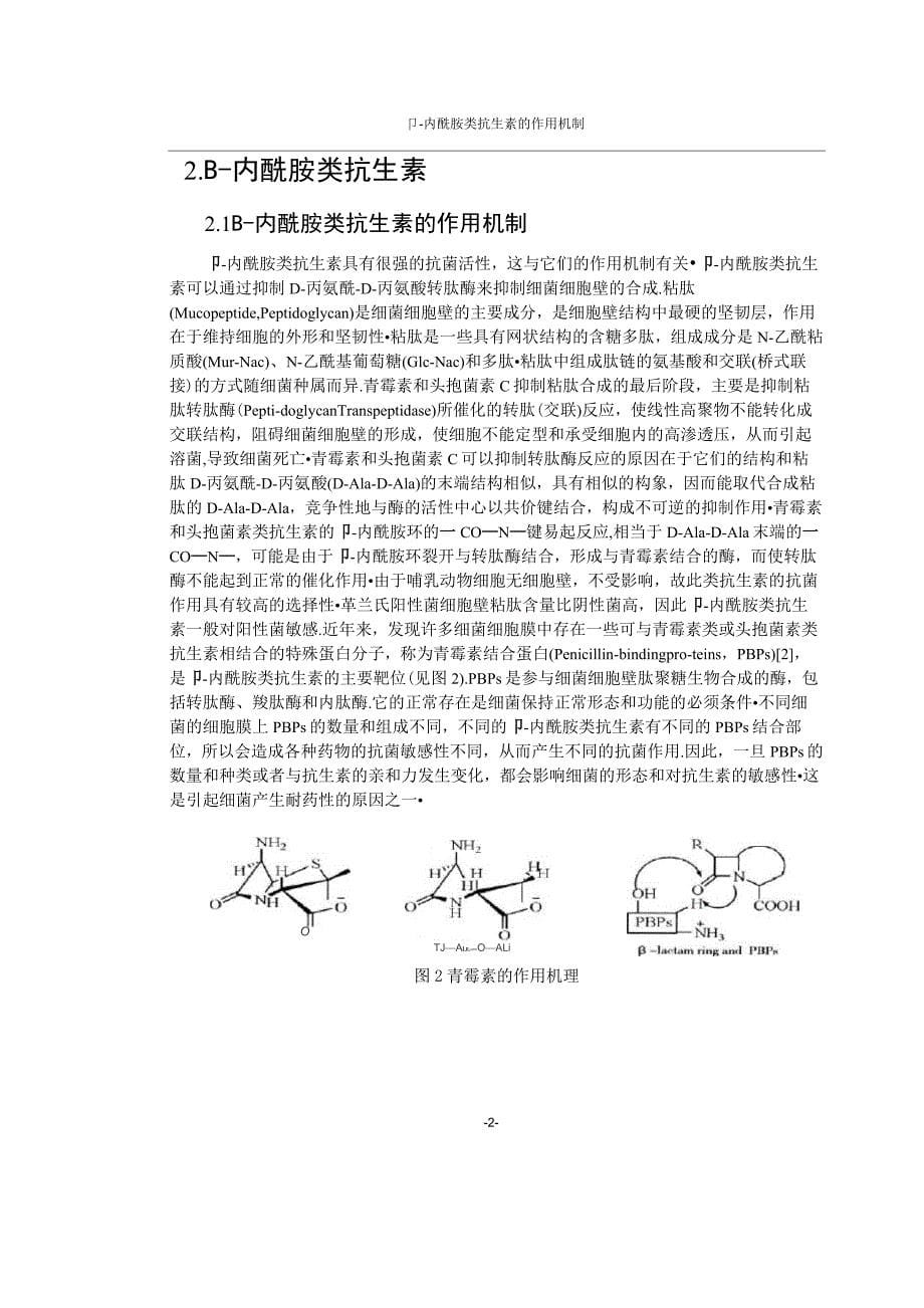 β-内酰胺类抗生素的作用机制_第5页
