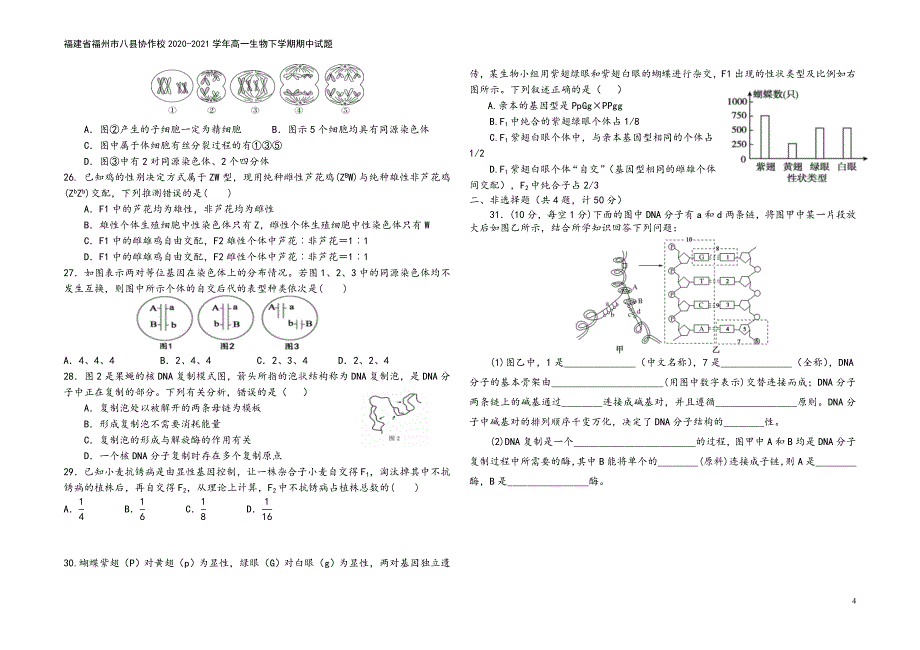 福建省福州市八县协作校2020-2021学年高一生物下学期期中试题.doc_第4页