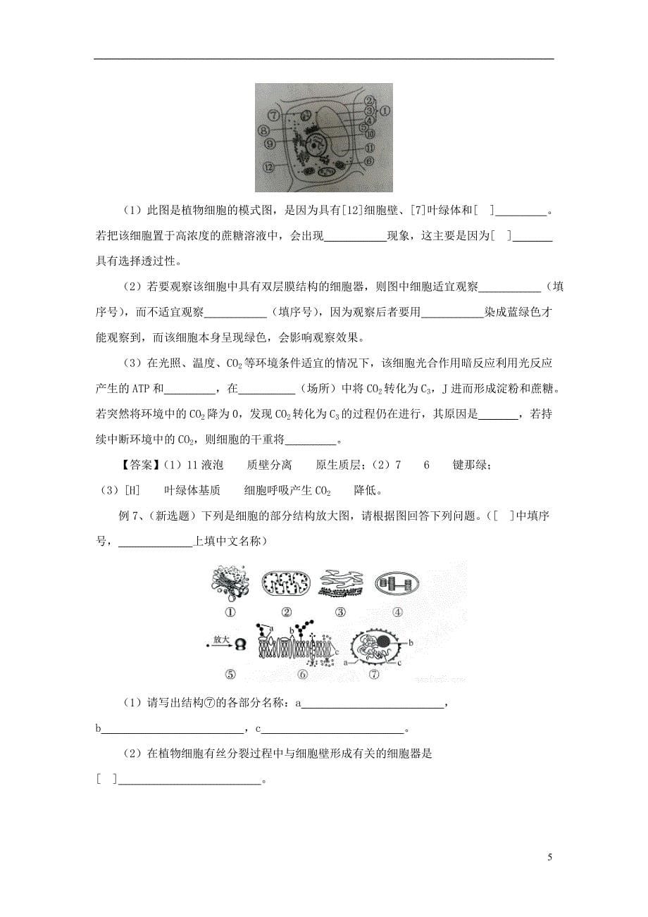 高考生物命题趋势及预测(1).doc_第5页