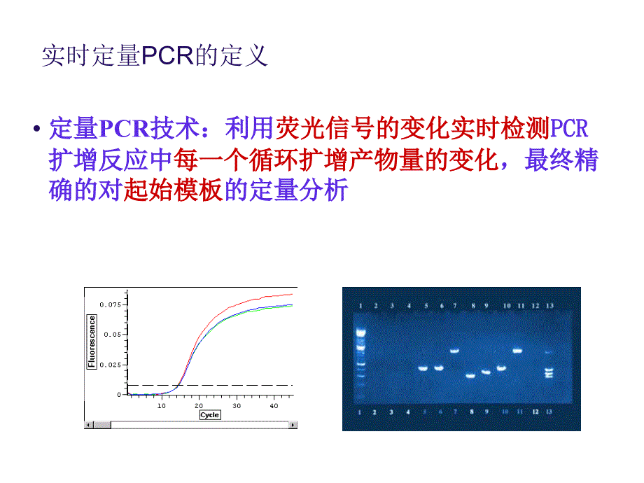 实时荧光定量PCR技术详解和总结_第4页