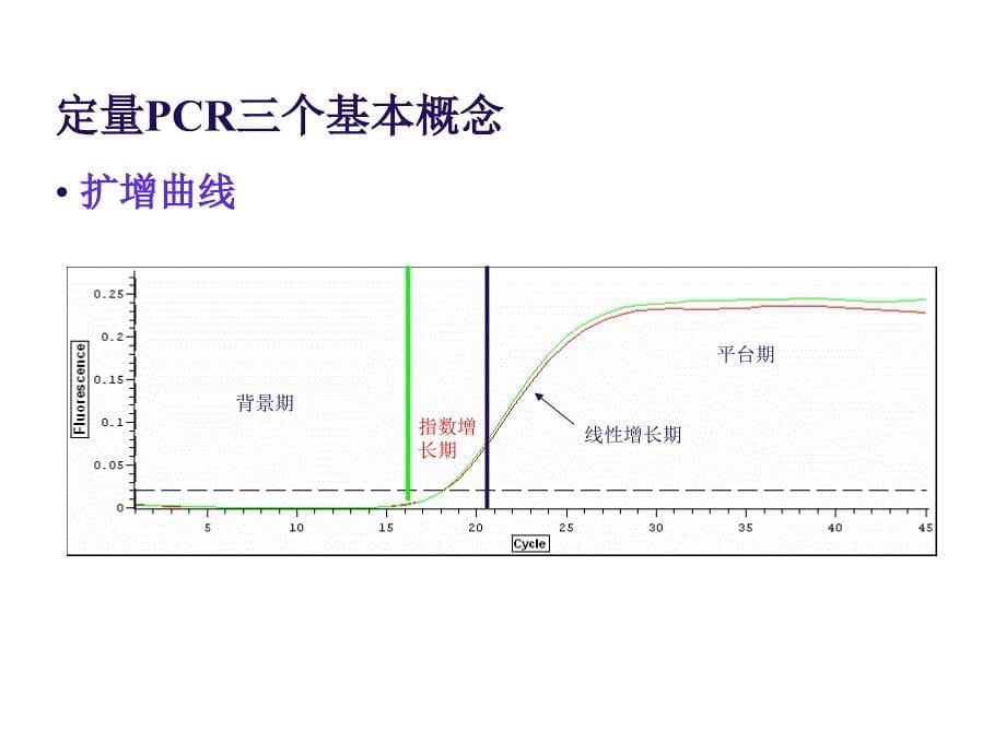 实时荧光定量PCR技术详解和总结_第5页