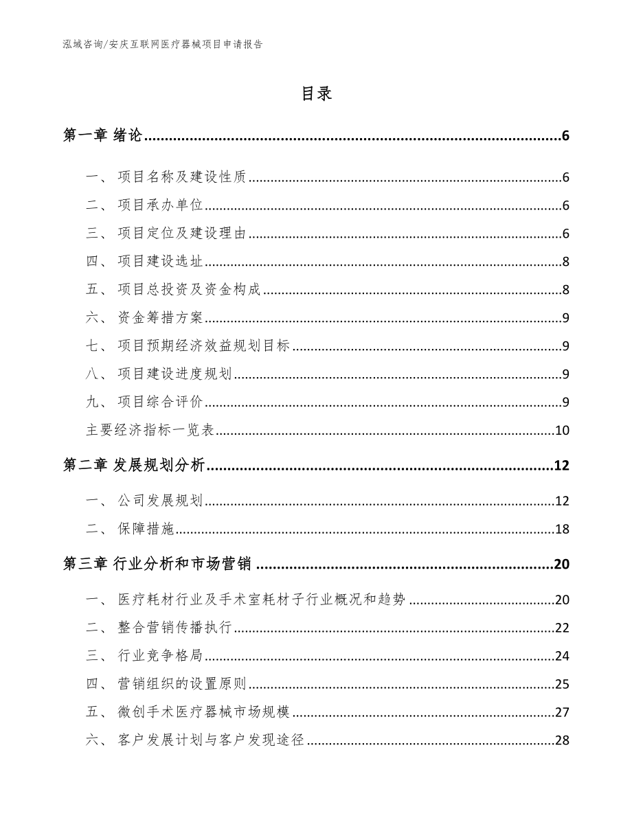 安庆互联网医疗器械项目申请报告_参考范文_第1页
