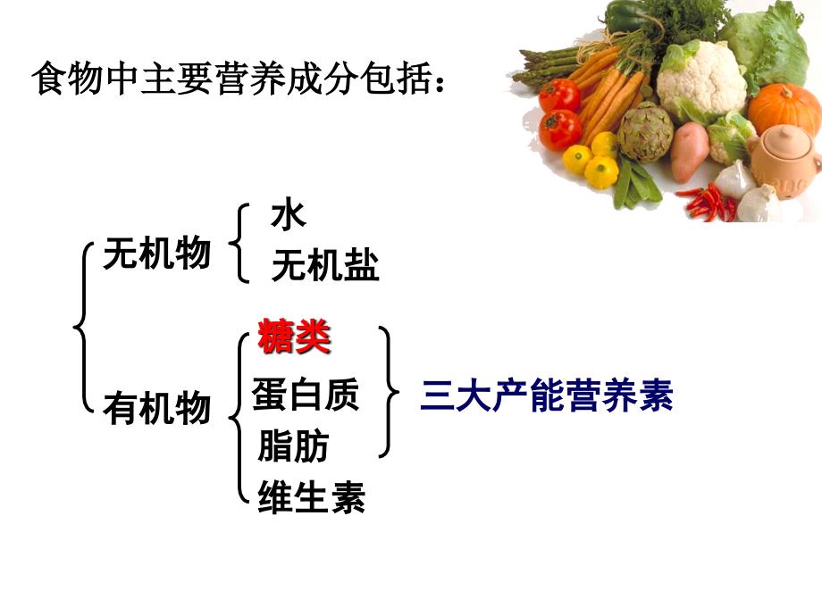 最新北师大初中生物会考复习七年级下册(一)精品课件_第2页