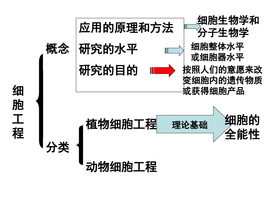 细胞工程植物细胞工程的基本技术第二章第一节_第4页