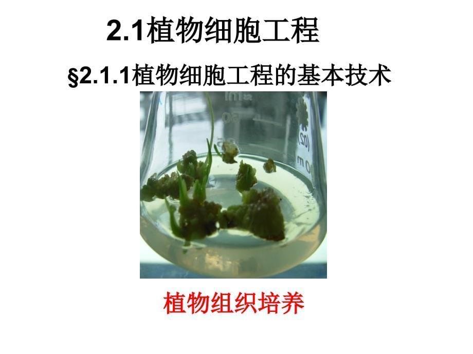 细胞工程植物细胞工程的基本技术第二章第一节_第5页