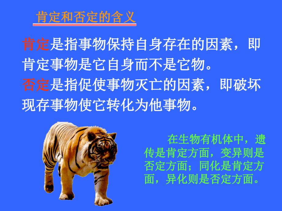 马哲否定之否定规律.ppt_第4页