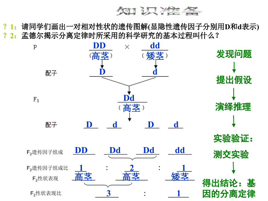 人教版高一生物必修二12《孟德尔的豌豆杂交实验（二）》课件x(共20张PPT)_第2页