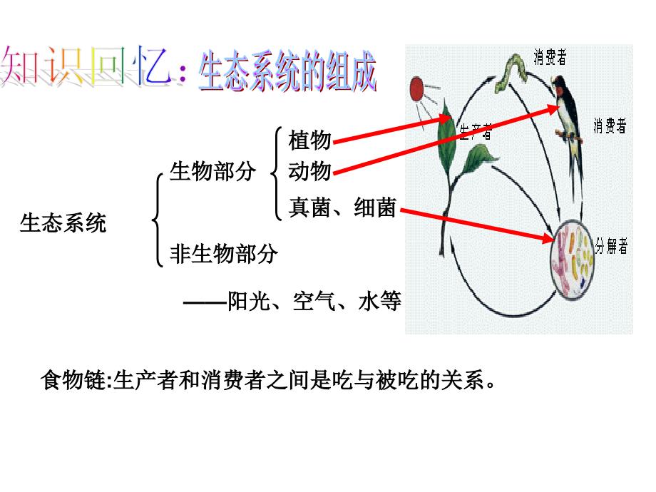 人教版初二生物上册《第三章--动物在生物圈中的作用》课件_第3页