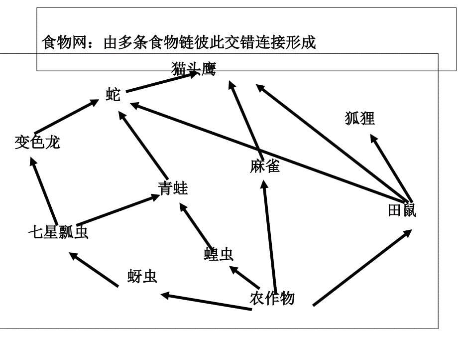 人教版初二生物上册《第三章--动物在生物圈中的作用》课件_第5页