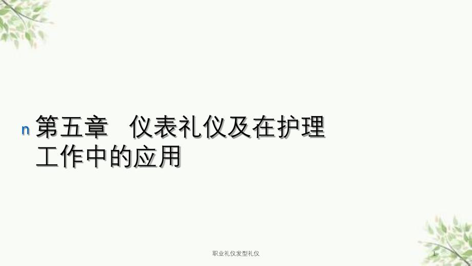 职业礼仪发型礼仪课件_第1页