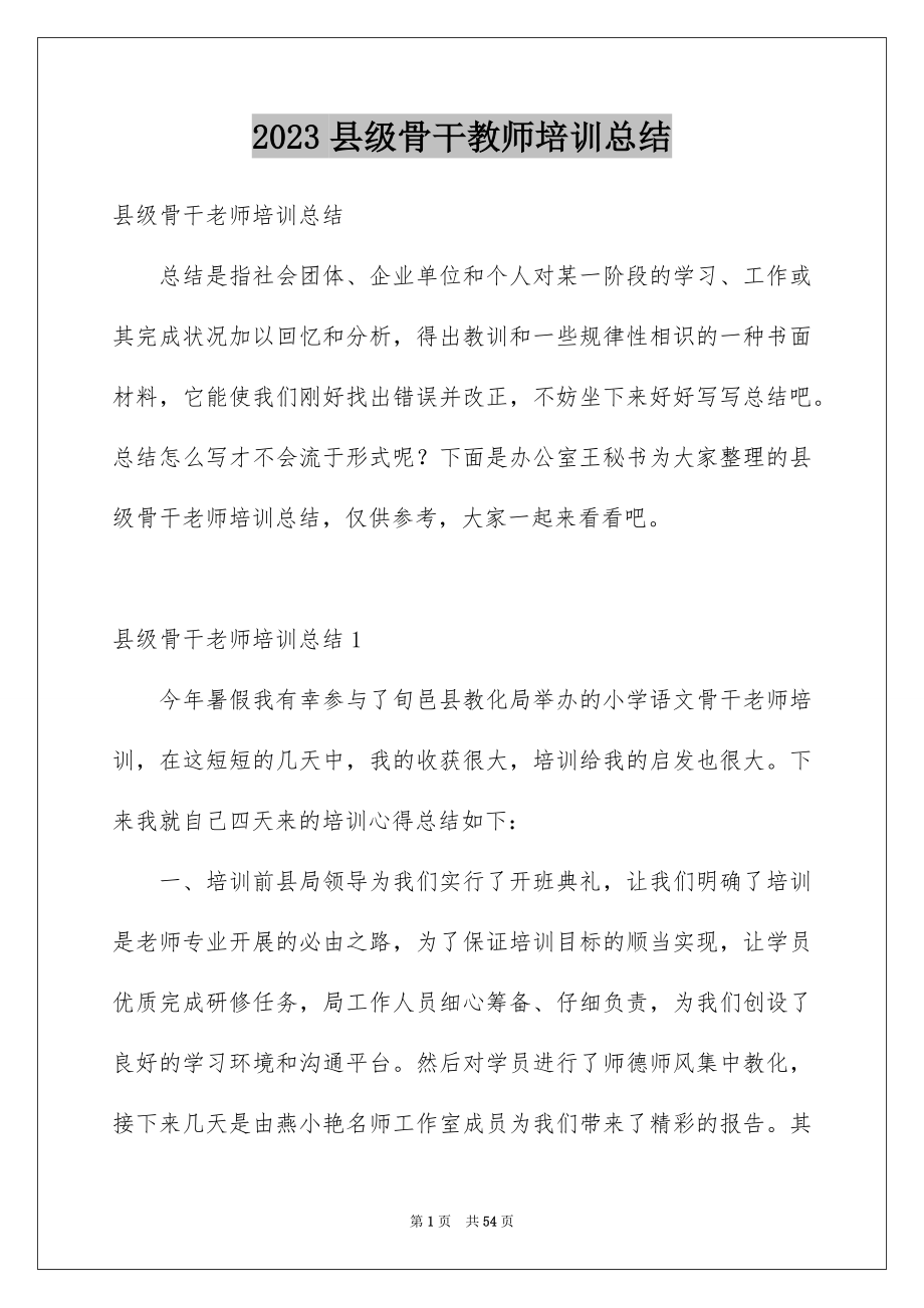 2023年县级骨干教师培训总结2.docx_第1页