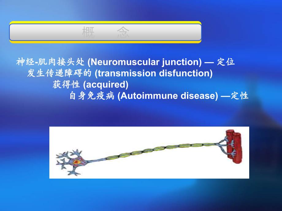 重症肌无力mg的护理查房ppt课件_第3页