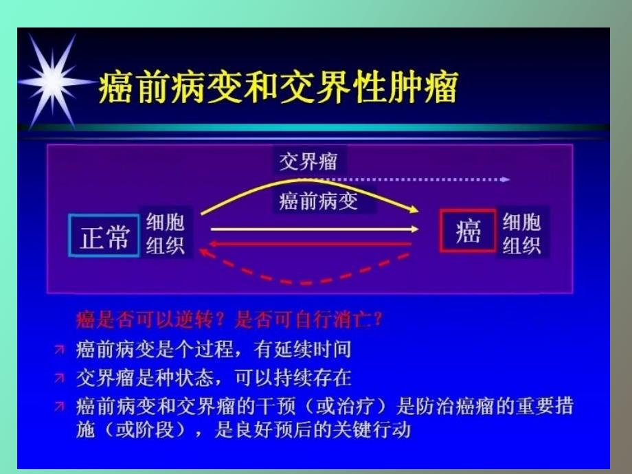 妇科肿瘤总论_第4页