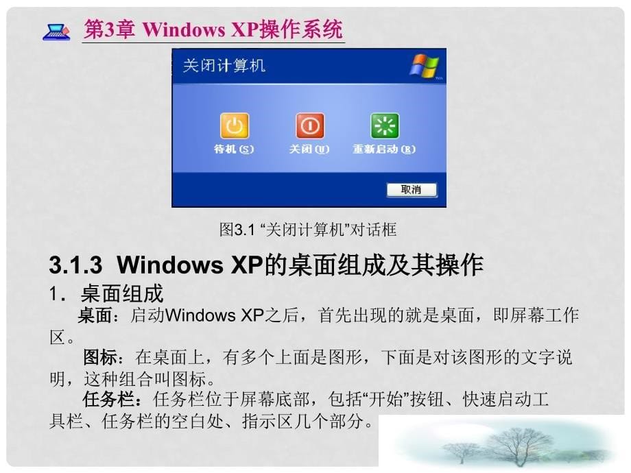 七年级信息技术上册 Windows操作系统（Windows XP的基本操作）课件_第5页