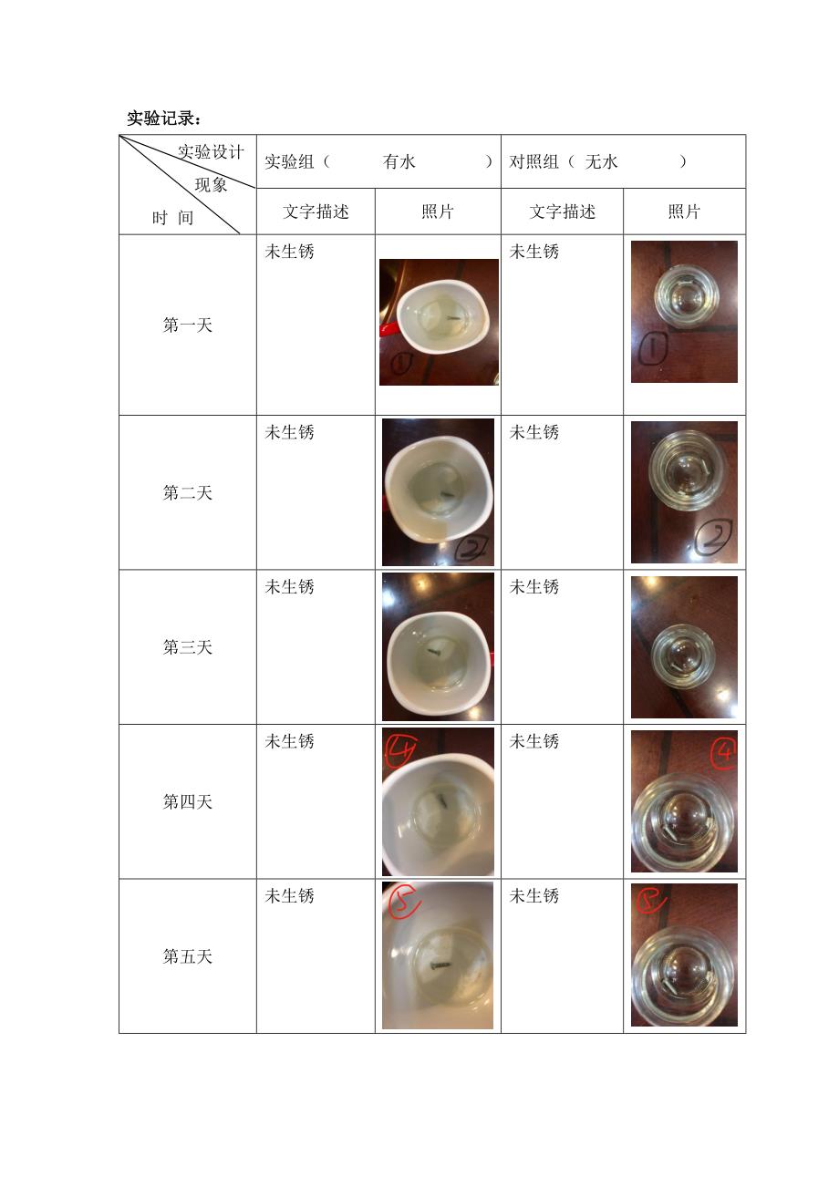 学生实验（黄子凌：只有水铁会生锈吗）.docx_第2页