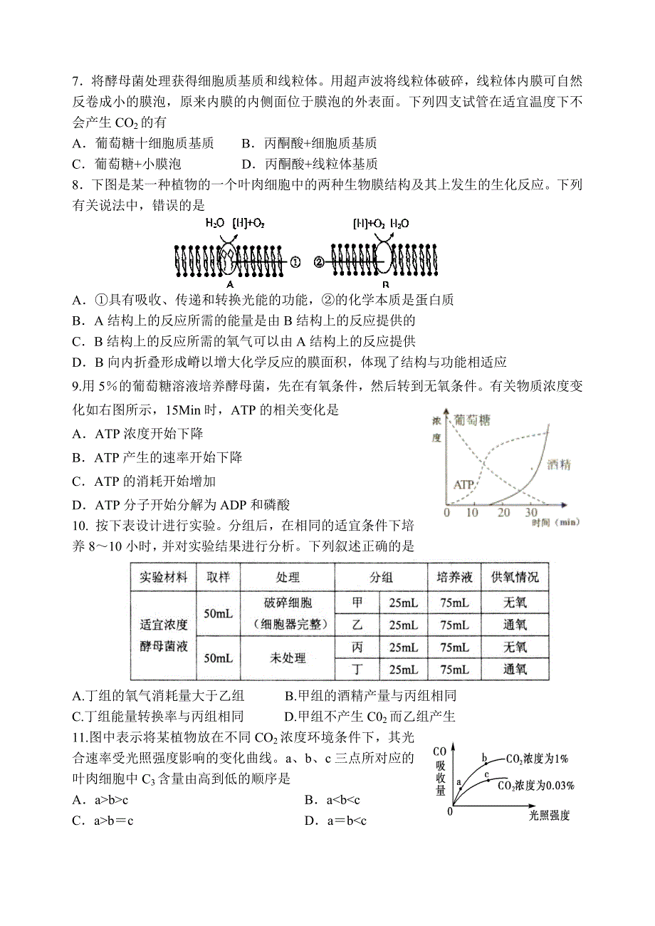 细胞呼吸与光合作用_第2页