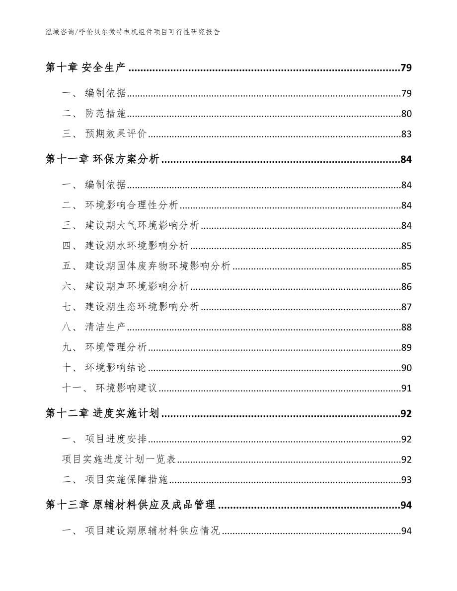 呼伦贝尔微特电机组件项目可行性研究报告_模板_第5页