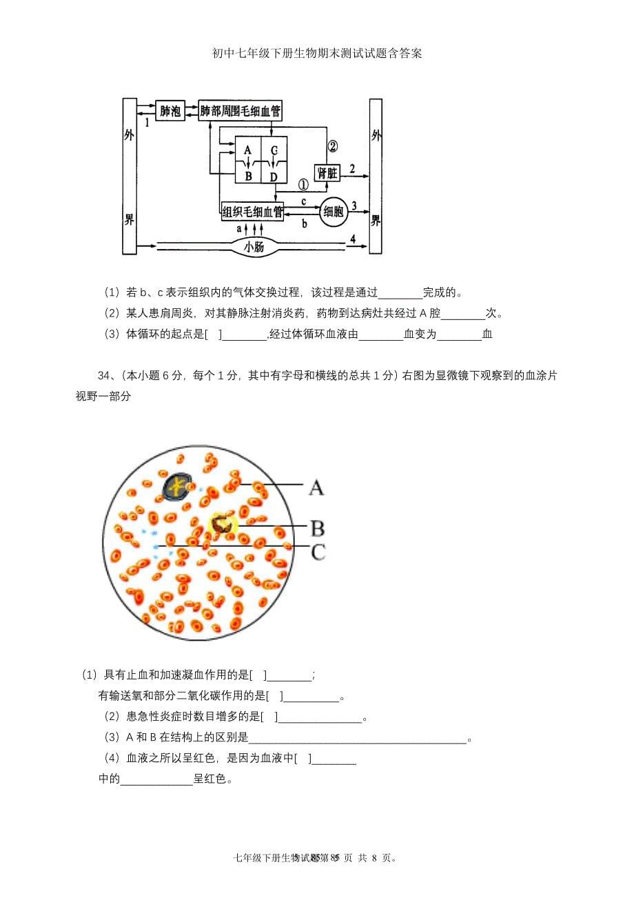 初中七年级下册生物期末测试试题含答案_第5页