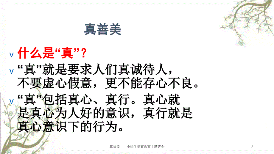 真善美小学生德育教育主题班会课件_第2页