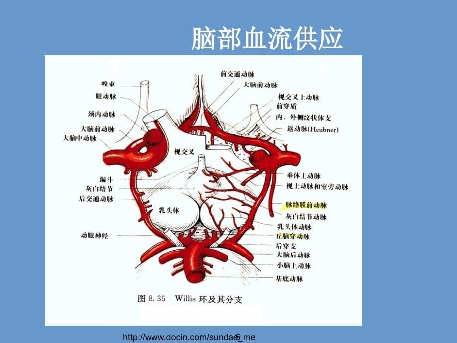 《临床医学脑中风》PPT课件_第5页