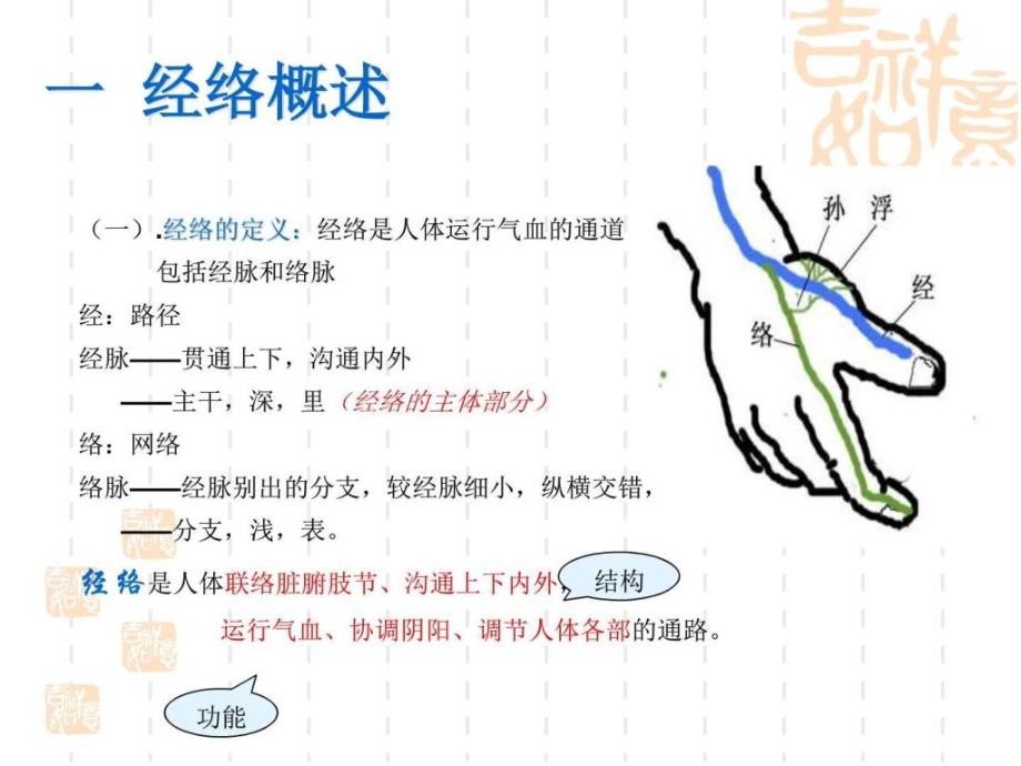 保健按摩师培训之经穴知识_第2页