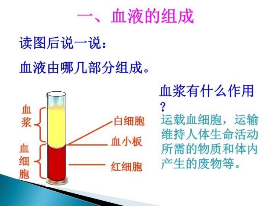 九年级生物课件心脏和血液循环复习_第3页