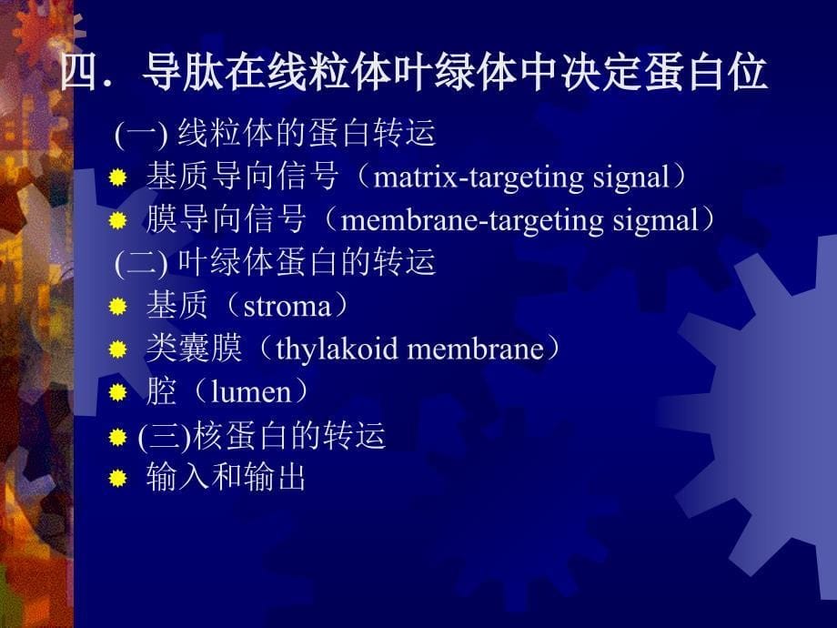 医学课件第二节蛋白质的越膜运输_第5页