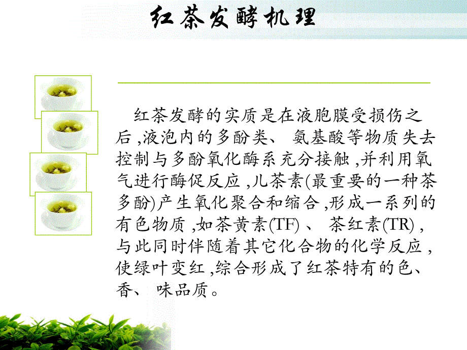 发酵茶的生产.ppt_第4页