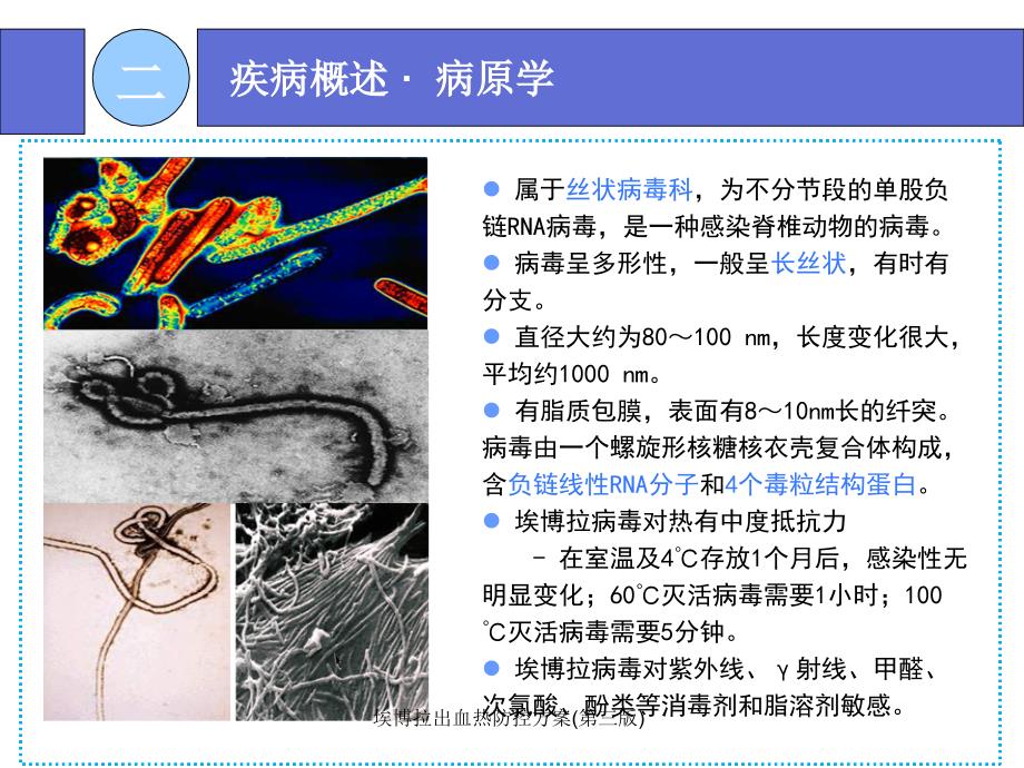 埃博拉出血热防控方案第三版课件_第3页