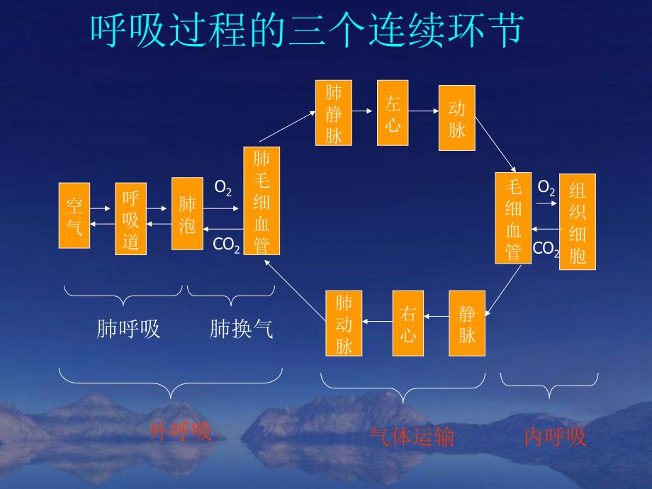 呼吸系统疾病营养治疗PPT课件_第3页