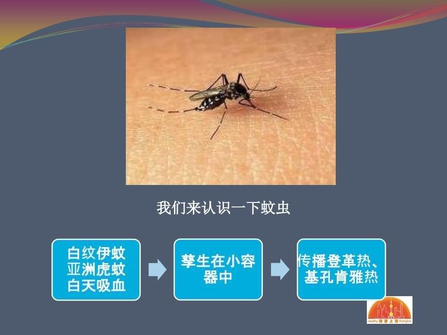 家庭除四害知识讲座课件.ppt_第5页