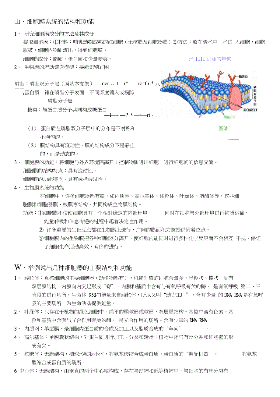 人教版高中生物必修一知识点总结_第4页