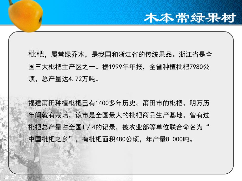 福建特产枇杷的功效与作用小记_第3页