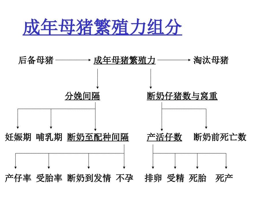 母猪的管理侯贵来_第5页