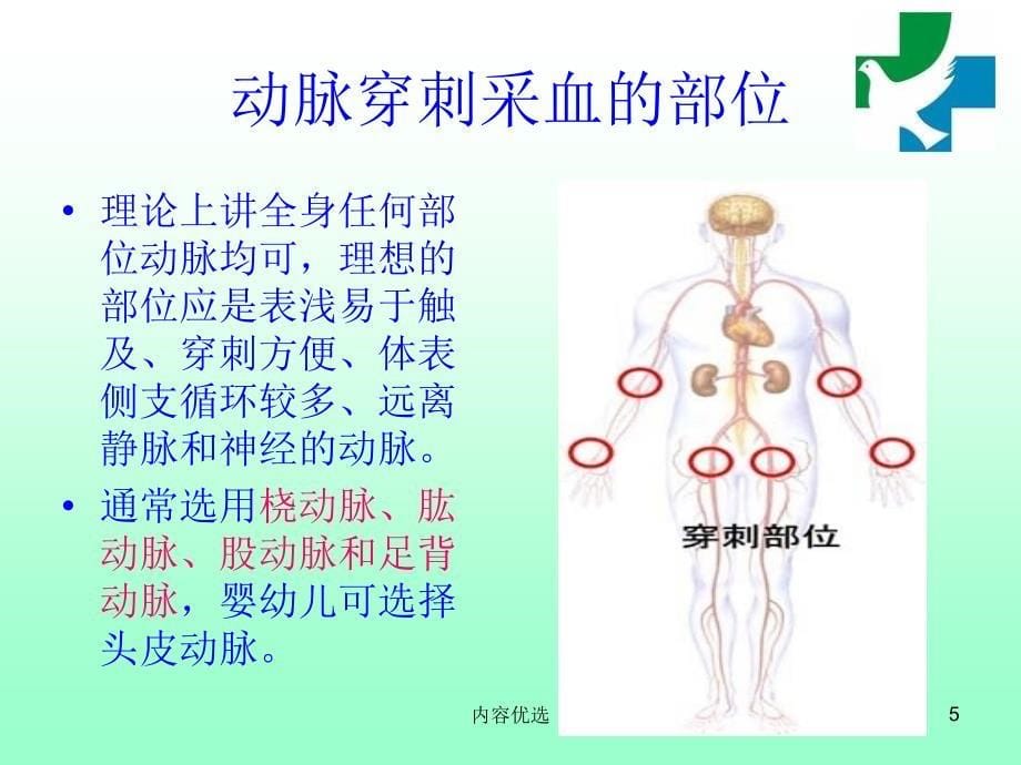 动脉血气分析严选内容_第5页