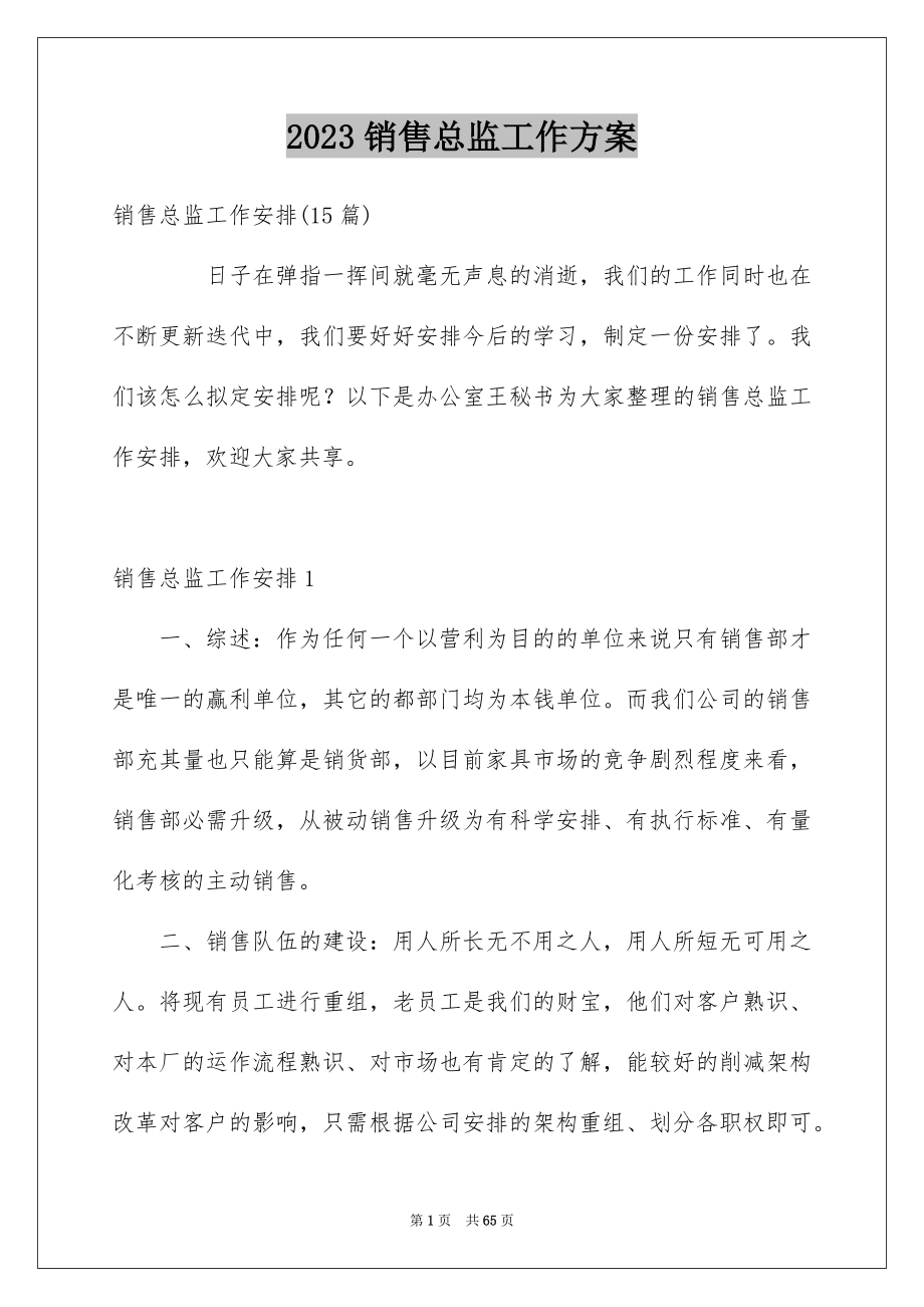 2023年销售总监工作计划16范文.docx_第1页