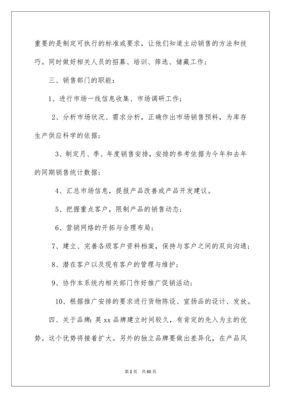 2023年销售总监工作计划16范文.docx_第2页