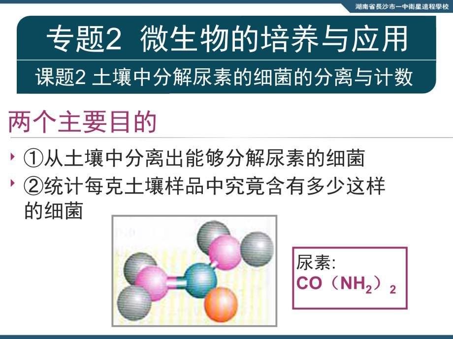 10.07.12高三生物专题2课题2土壤中分解尿素的细菌的分离与计数_第5页