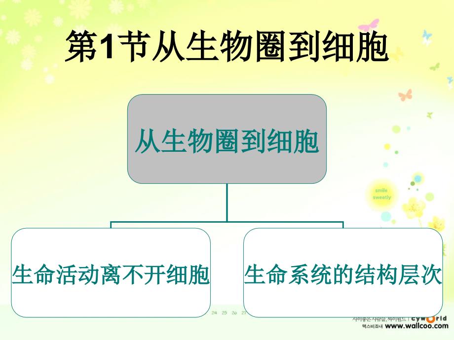 从生物圈到细胞(用)_第3页