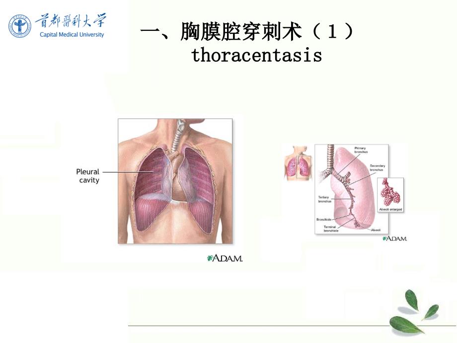 医学职业课件：临床常用诊疗技术_第4页